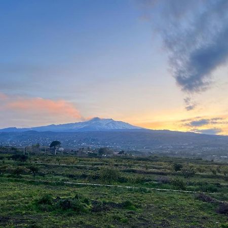 شقة Vista Etna House فوميفريدو دي سيشيليا المظهر الخارجي الصورة