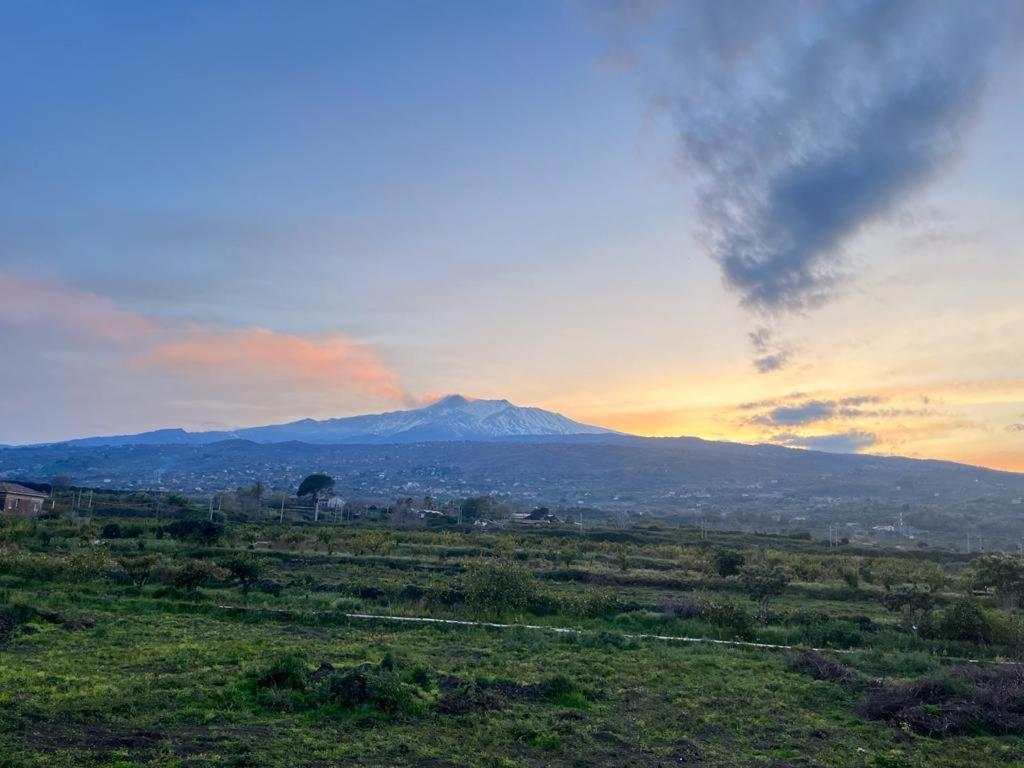 شقة Vista Etna House فوميفريدو دي سيشيليا المظهر الخارجي الصورة